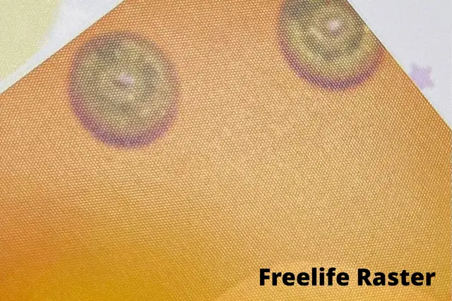 Custom Printed Wall Calendars - Image 4